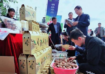 線上線下銷售火爆，食品消費新趨勢解讀