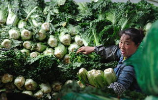 預算單位采購 破解貧困地區農副產品滯銷難題的有力舉措