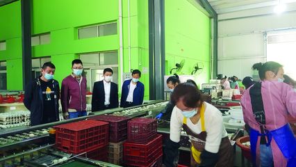 大冶市畜牧獸醫局 當好“服務員”，助力涉牧企業復產增效，保障食品銷售安全順暢