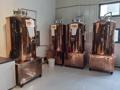 開一個精釀啤酒屋讓你清涼一夏