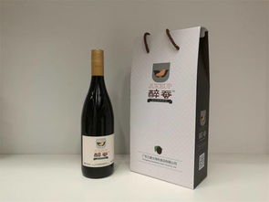 醉蠶 每天喝桑葚酒到底好不好